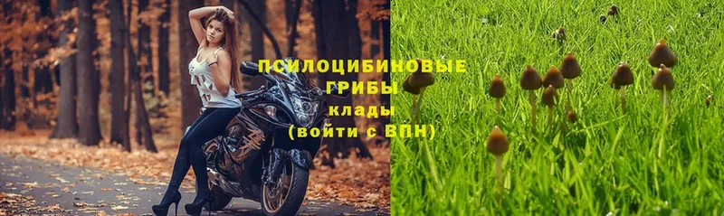 Псилоцибиновые грибы мухоморы  Фролово 